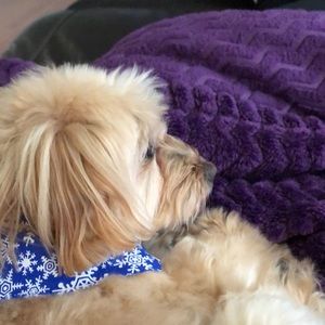 Meet your Posher, Krista